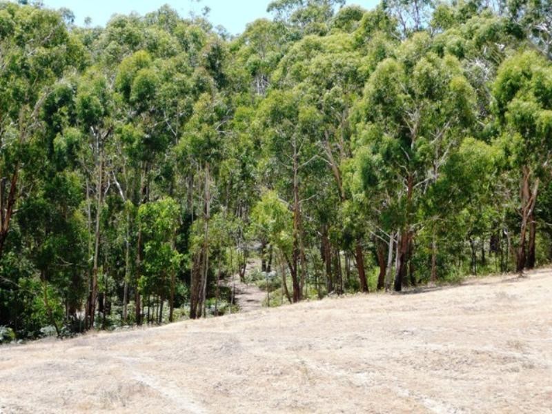 Lot 8 Morgan Road, Ironbank SA 5153