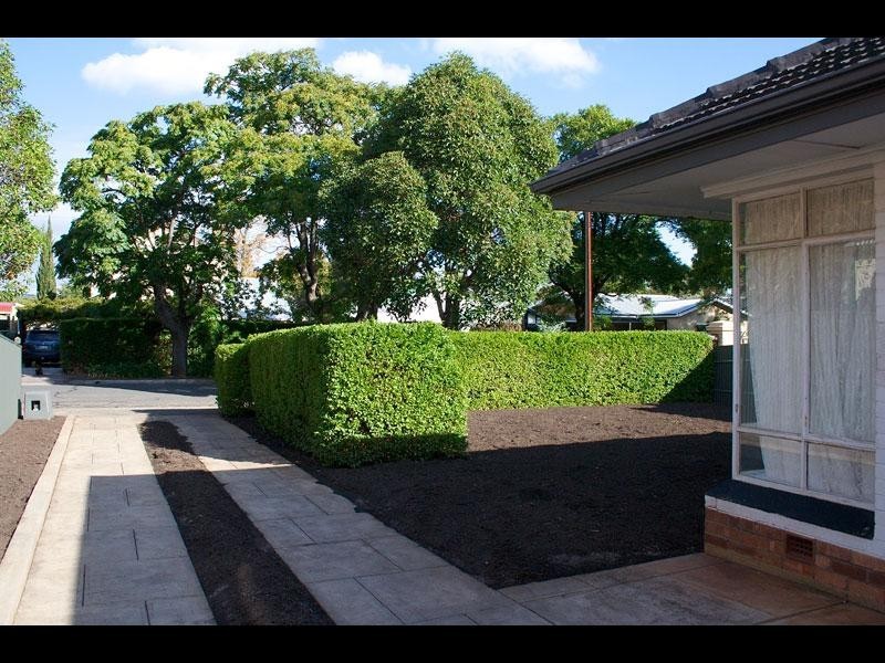 47 Richmond Road, Westbourne Park SA 5041