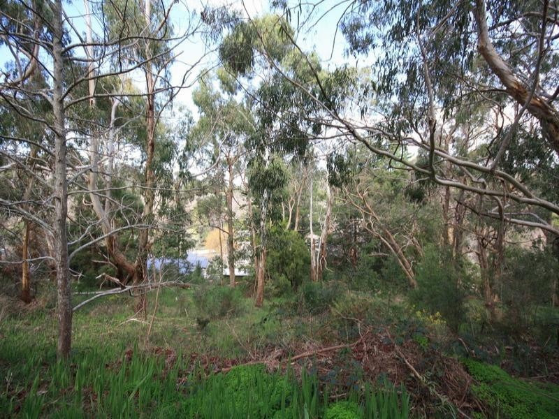 5 Pirralilla Place, Stirling SA 5152