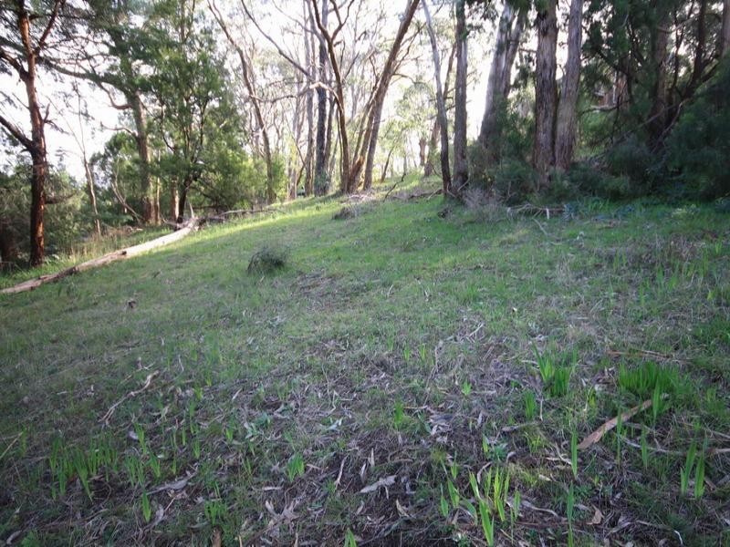 5 Pirralilla Place, Stirling SA 5152