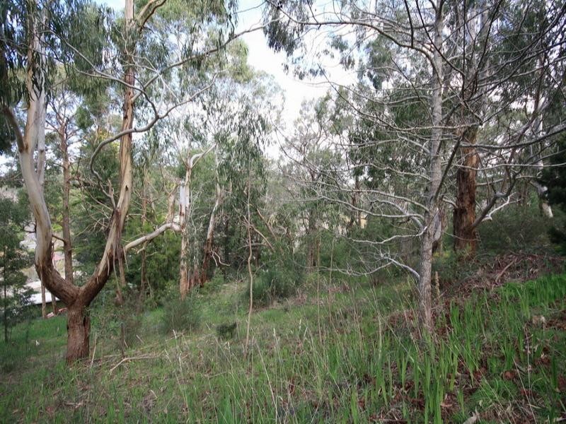 5 Pirralilla Place, Stirling SA 5152