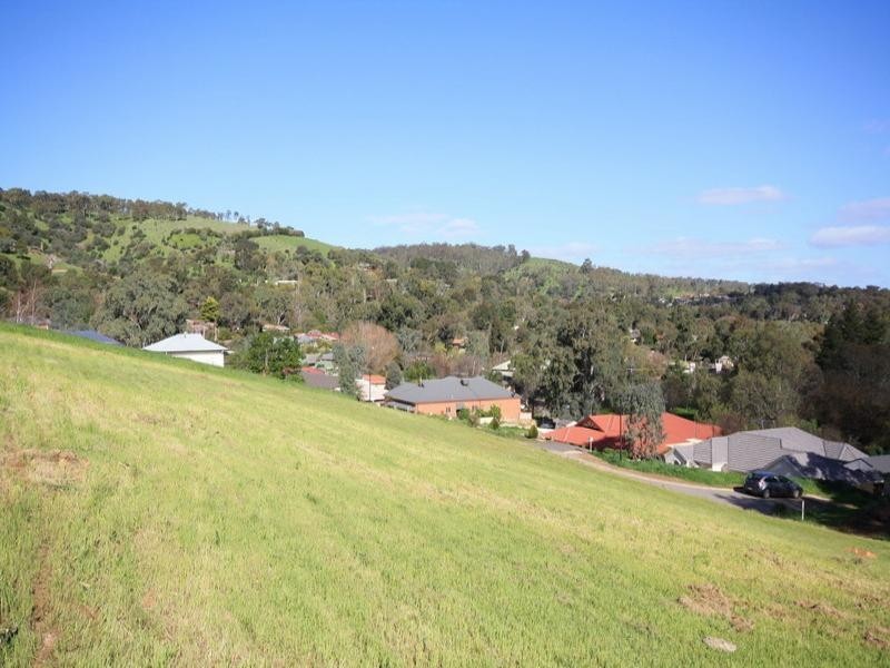 32 Meadowvale Road, Coromandel Valley SA 5051