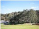 32 Meadowvale Road, Coromandel Valley SA 5051