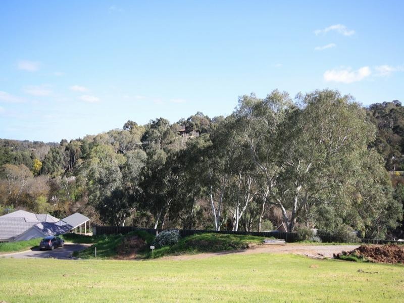 32 Meadowvale Road, Coromandel Valley SA 5051