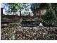 6 Runnymede Road, Belgrave VIC 3160
