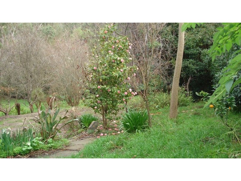 189-191 Mt Morton Road, Belgrave Heights VIC 3160