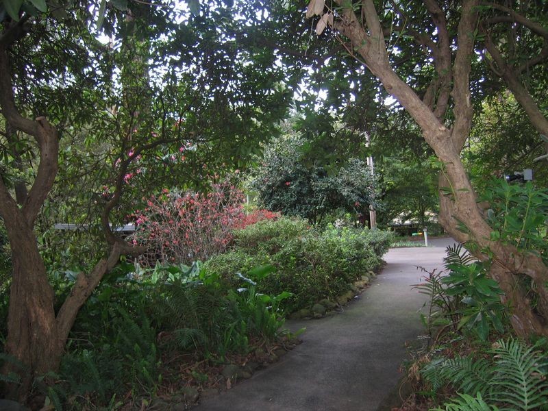 17 Acacia Avenue, Upwey VIC 3158