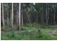 Lot 1, 55 Back Creek Road, Gembrook VIC 3783