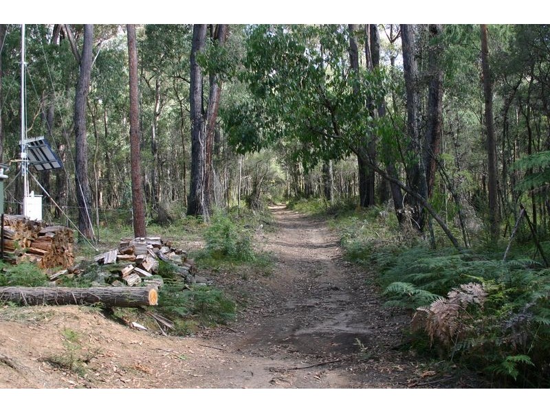 Lot 1, 55 Back Creek Road, Gembrook VIC 3783