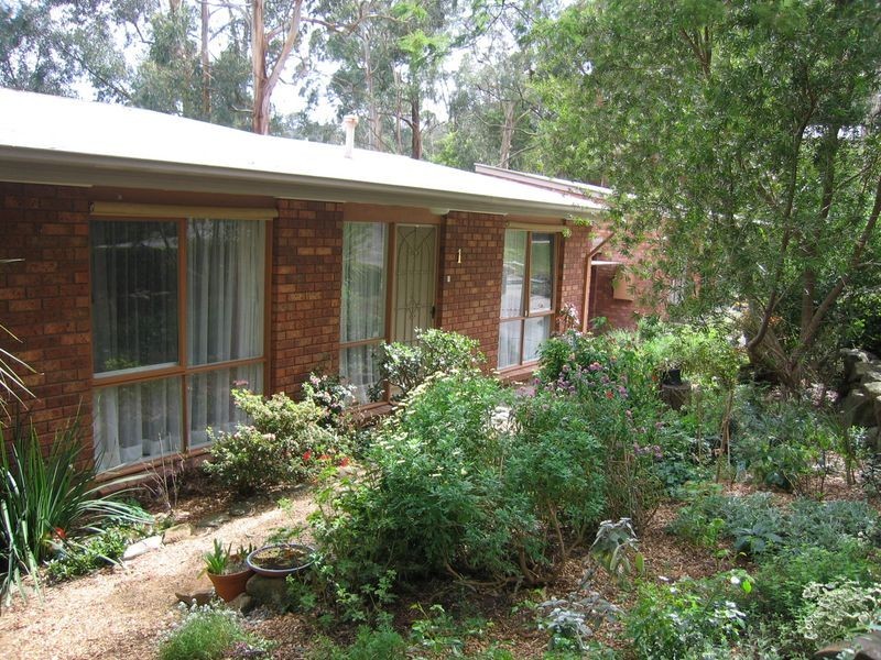 1/3 Frame Avenue, Tecoma VIC 3160