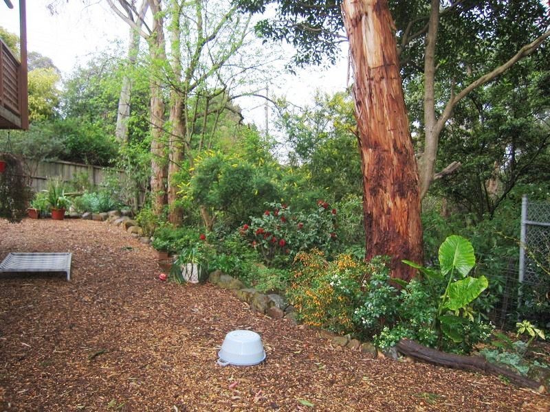 1/3 Frame Avenue, Tecoma VIC 3160