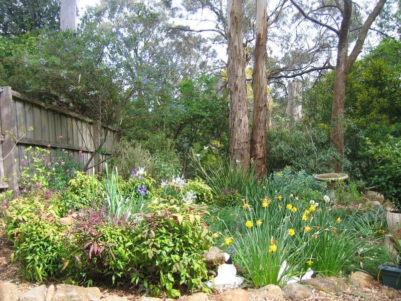 1/3 Frame Avenue, Tecoma VIC 3160