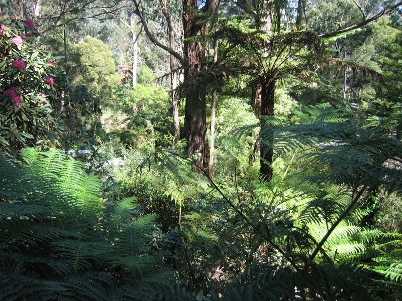 7 Wilga Avenue, Selby VIC 3159