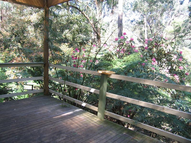 7 Wilga Avenue, Selby VIC 3159