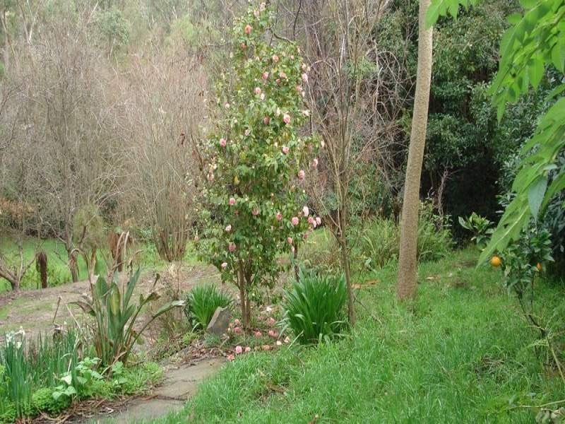 189 – 191 Mt Morton Road, Belgrave Heights VIC 3160