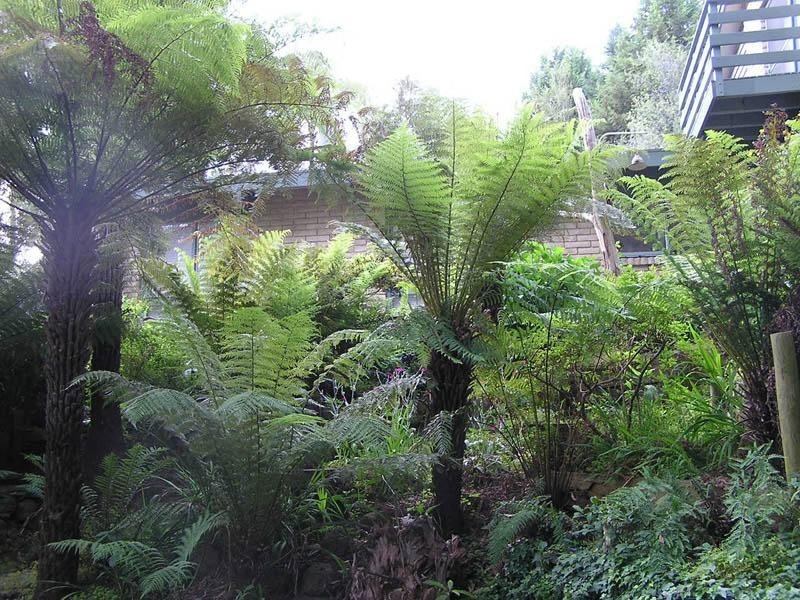 170 Belgrave Hallam Road, Belgrave South VIC 3160