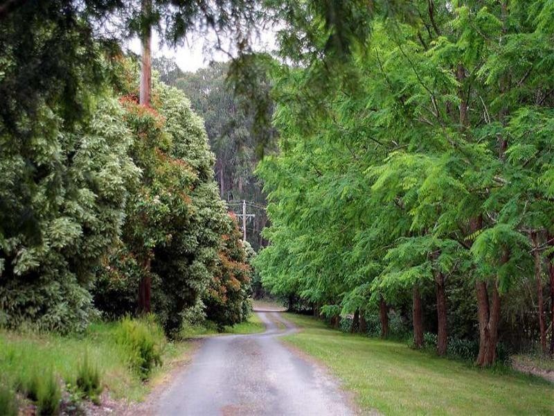 43c Rankins Road, Monbulk VIC 3793