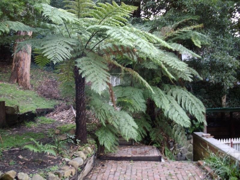 39 Fairy Dell Road, Tecoma VIC 3160