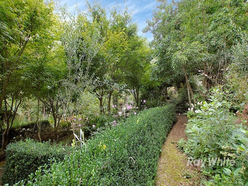 5 Panteg Road, Sassafras VIC 3787