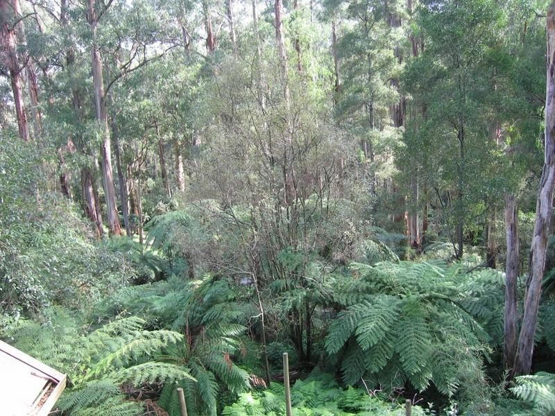 12 Argonne Parade, Selby VIC 3159