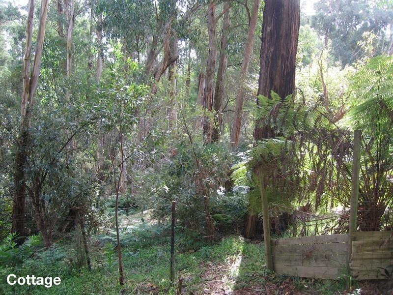 12 Argonne Parade, Selby VIC 3159