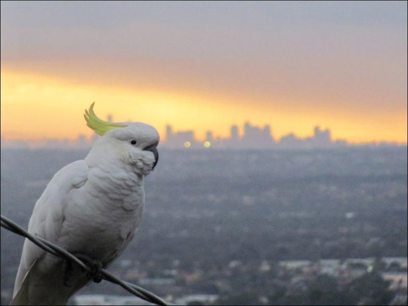 10 Irene Avenue, Upper Ferntree Gully VIC 3156