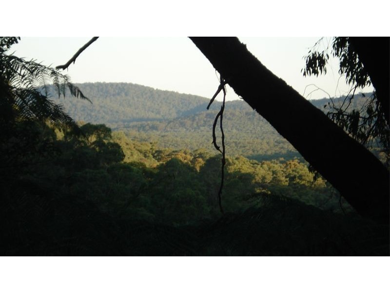 Lot 1,555 Back Creek Road, Gembrook VIC 3783