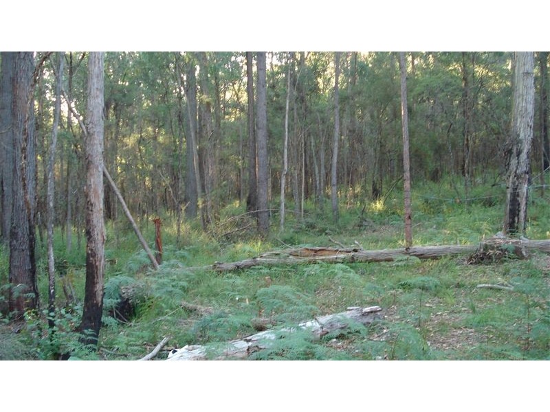 Lot 1,555 Back Creek Road, Gembrook VIC 3783