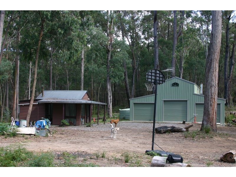 Lot 1,555 Back Creek Road, Gembrook VIC 3783
