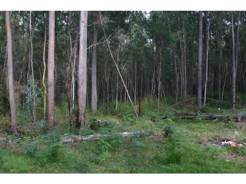 Lot 1,555 Back Creek Road, Gembrook VIC 3783