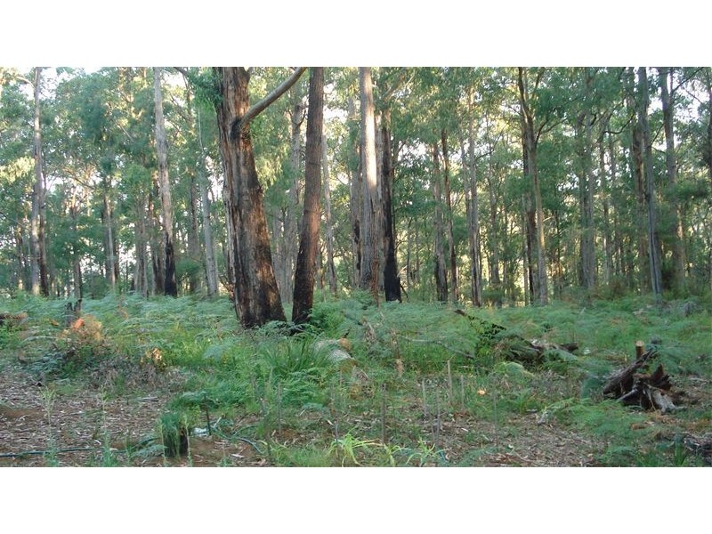 Lot 1,555 Back Creek Road, Gembrook VIC 3783
