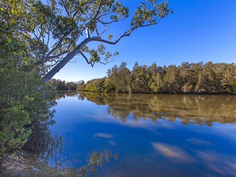 44 Bahdilli Crescent, Diddillibah QLD 4559