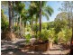 34 Suzen Court, Mooloolah Valley QLD 4553