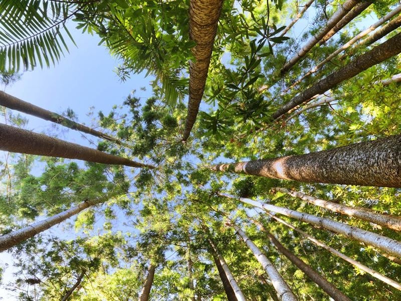 42-44 Quiet Valley Crescent, Buderim QLD 4556