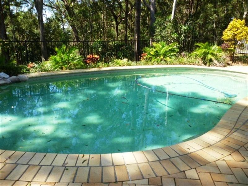 31 Jarrah Road, Buderim QLD 4556
