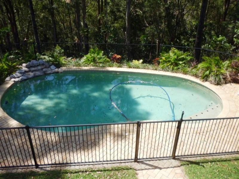 31 Jarrah Road, Buderim QLD 4556
