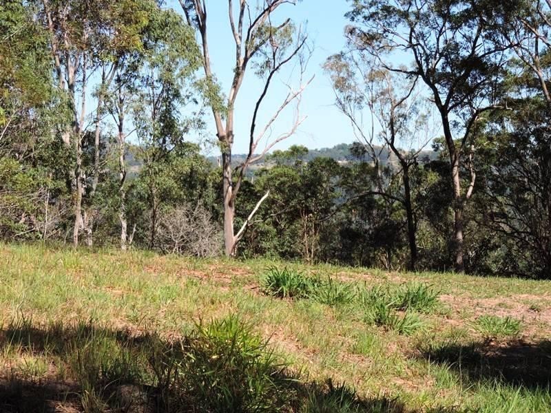 Lot 4 Tunnel Ridge Road, Mooloolah Valley QLD 4553