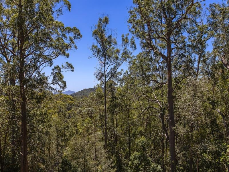 127-131 Vise Road, Mons QLD 4556