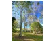 11 Brandenburg Road, Mooloolah Valley QLD 4553