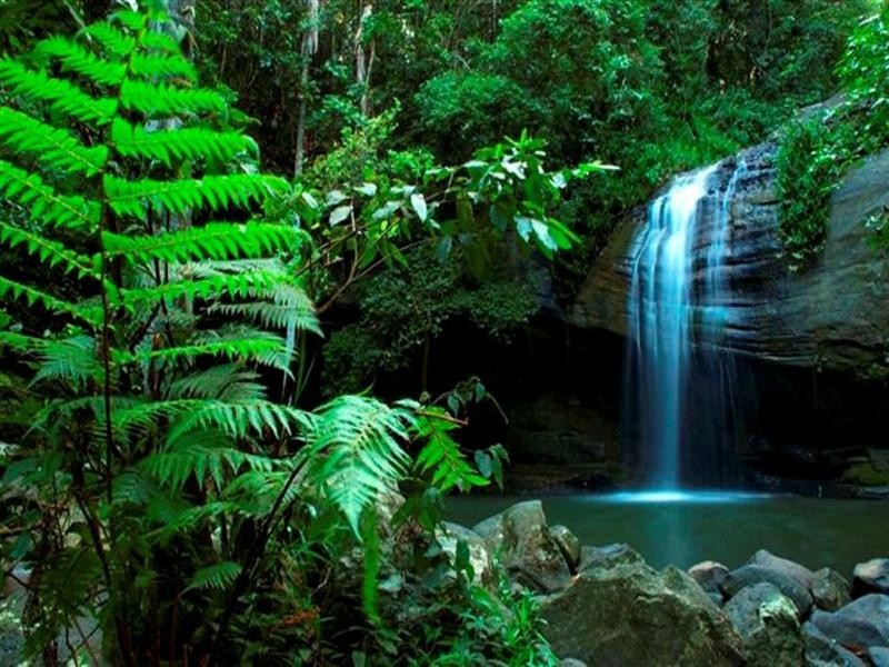 22 Possumwood Place, Buderim QLD 4556