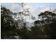 “Satinay 632″ Kingfisher Bay, Fraser Island QLD 4581
