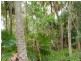 58 Glenfinnan Court, Forest Glen QLD 4556