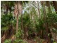58 Glenfinnan Court, Forest Glen QLD 4556