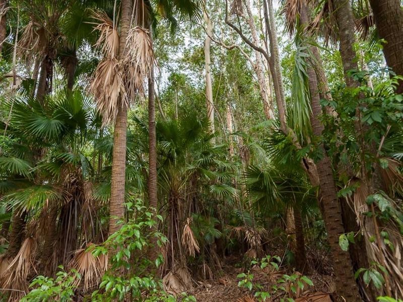 58 Glenfinnan Court, Forest Glen QLD 4556