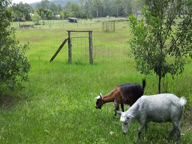 137 Old Gympie Road, Mooloolah Valley QLD 4553