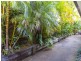 22 Merval Court, Mons QLD 4556