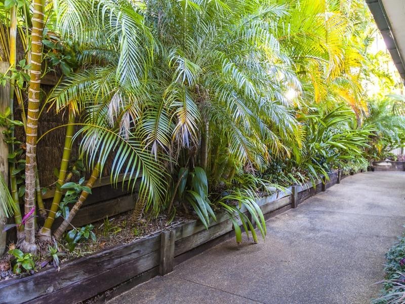 22 Merval Court, Mons QLD 4556