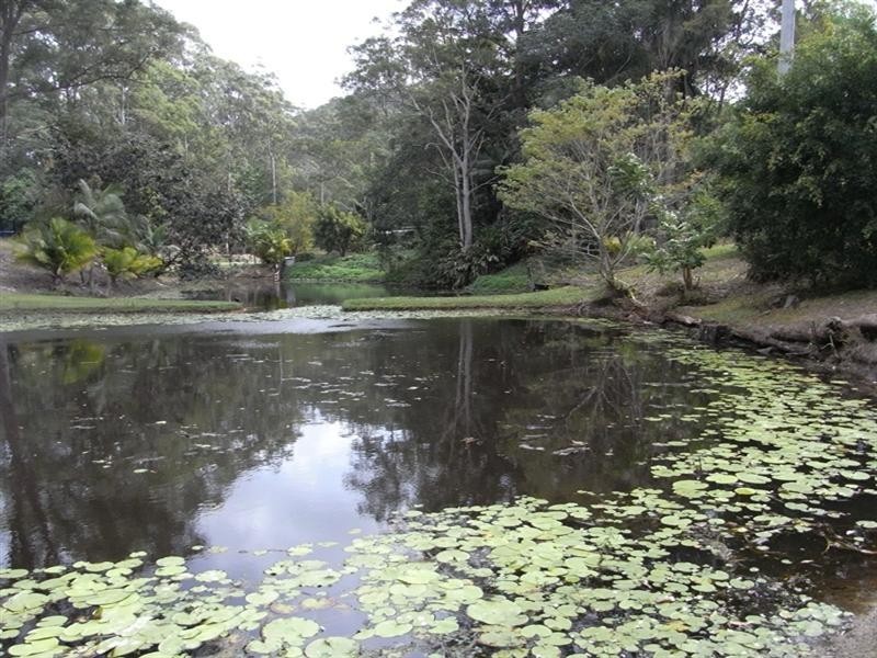 67 Isambert Road, Glenview QLD 4553