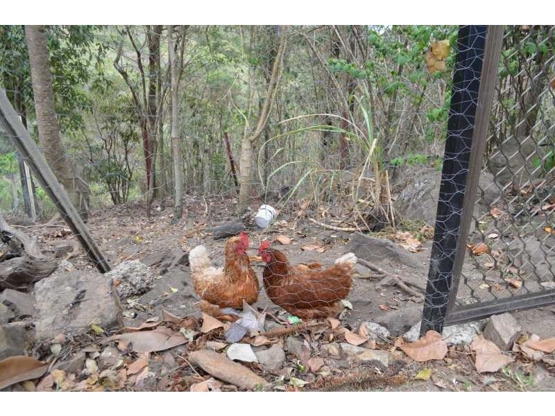 332 Nambour-Mapleton Road, Nambour QLD 4560