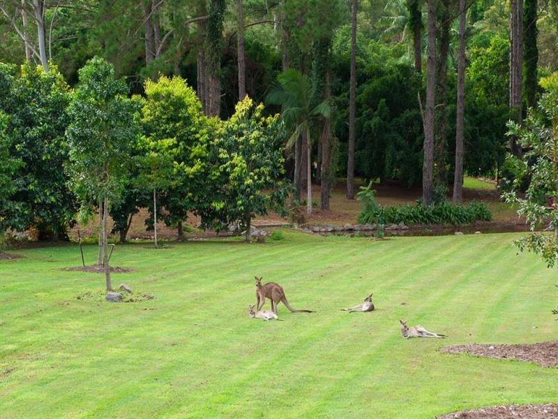 129 Cogill Road, Buderim QLD 4556